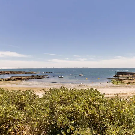 En Bord De Avec Wifi Et Animal Accepte A - Fr-1-306-943 皮里亚克叙尔梅尔