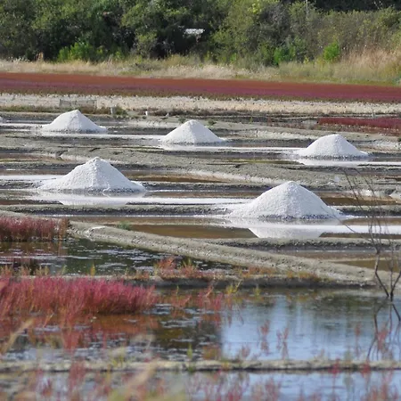 公寓 En Bord De Avec Wifi Et Animal Accepte A - Fr-1-306-943 皮里亚克叙尔梅尔