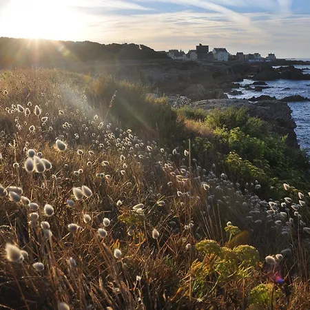 En Bord De Avec Wifi Et Animal Accepte A - Fr-1-306-943 皮里亚克叙尔梅尔