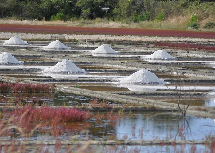 Appartamento Piriac-sur-mer, 3 Pièces, 4 Personnes - Fr-1-306-943 Piriac-sur-Mer