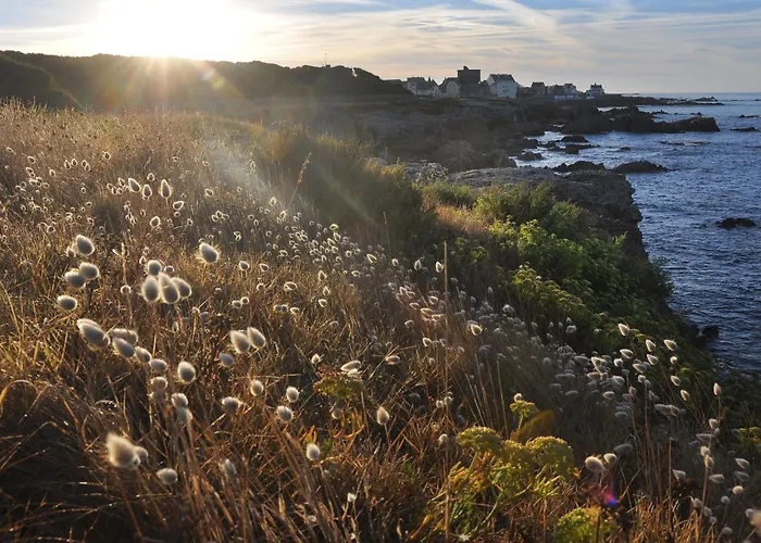 Piriac-sur-mer, 3 Pièces, 4 Personnes - Fr-1-306-943 Piriac-sur-Mer